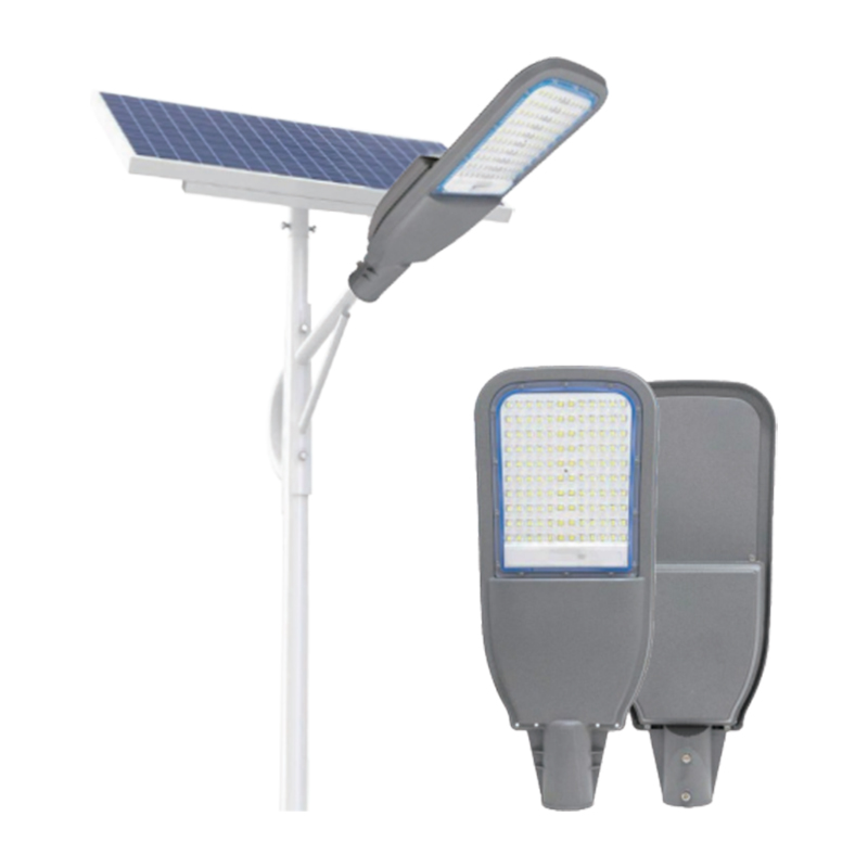 Lampu Jalan Suria Led 6v 60-100w